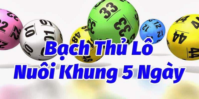 Cách tìm ra lô đẹp đơn giản để tiến hành nuôi khung