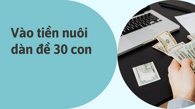 Bật mí cho người mới cách vào tiền khi nuôi dàn đề 30 số