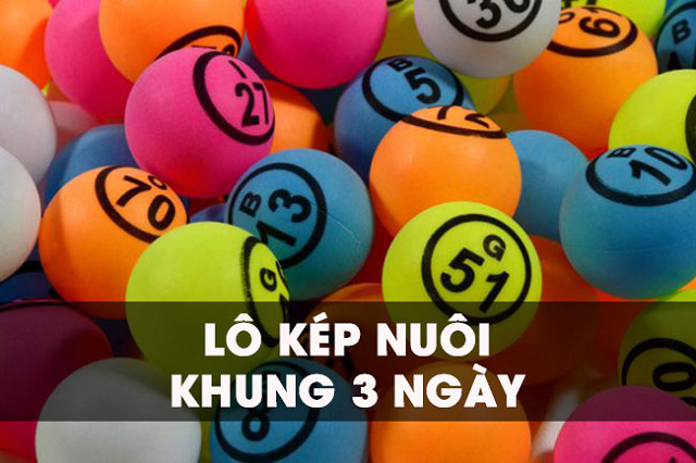 Những lợi ích không nên bỏ lỡ khi chơi lô kép nuôi ngày