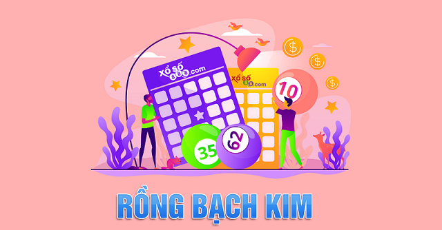 Mách bạn chi tiết khái niệm rồng bạch kim 888 là gì