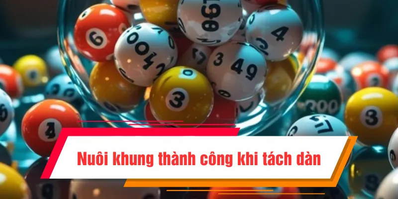 Tách dàn đề đảm bảo nuôi khung thành công